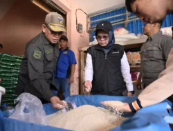 TPID Sulawesi Tengah Pastikan Stok Beras Aman, Siapkan Operasi Pasar Tekan Kenaikan Harga