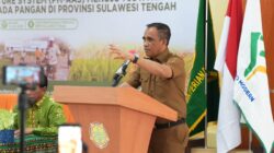 Gubernur Sulteng Targetkan Produktivitas Padi Naik Jadi 6 Ton per Hektare pada 2027