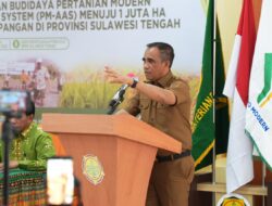 Gubernur Sulteng Targetkan Produktivitas Padi Naik Jadi 6 Ton per Hektare pada 2027