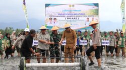 Bupati Parigi Moutong Canangkan Tanam Padi Perdana Program Pertanian Modern