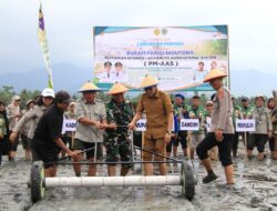 Bupati Parigi Moutong Canangkan Tanam Padi Perdana Program Pertanian Modern