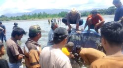 Speedboat MISTER UN Ditemukan Tanpa Awak di Parigi Moutong, Pencarian Nahkoda Masih Berlanjut