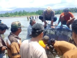 Speedboat MISTER UN Ditemukan Tanpa Awak di Parigi Moutong, Pencarian Nahkoda Masih Berlanjut