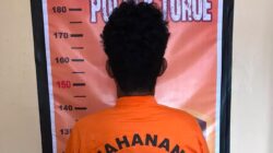 Polsek Torue Tahan RF, Diduga Curi Tiga Ayam Jantan Milik Warga