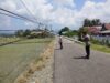 11 Tiang Listrik Tumbang di Kasimbar, Akses Jalan Utama Lumpuh