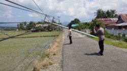 11 Tiang Listrik Tumbang di Kasimbar, Akses Jalan Utama Lumpuh