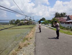 11 Tiang Listrik Tumbang di Kasimbar, Akses Jalan Utama Lumpuh