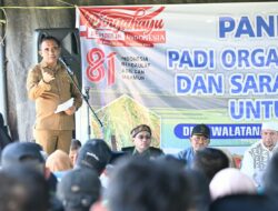 Pertanian Organik Walatana Disiapkan Jadi Model Pengembangan Pertanian Modern Sulteng
