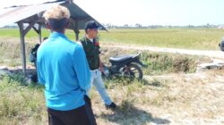 Kekeringan Melanda Tiga Kecamatan di Parigi Moutong, 1.400 Hektare Lahan Pertanian dan Perkebunan Terdampak