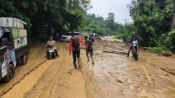 Banjir Rendam Sejumlah Desa di Kasimbar, Jalan Trans Sulawesi Tertutup Material Longsor