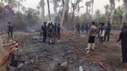 Kebakaran Kebun Kelapa di Lambunu Utara Hanguskan 1 Hektare Lahan