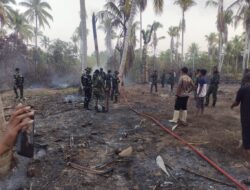 Kebakaran Kebun Kelapa di Lambunu Utara Hanguskan 1 Hektare Lahan