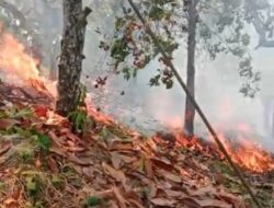 Karhutla di Sausu Parigi Moutong Bakar Sekitar 3,5 Hektare Lahan dan Hutan
