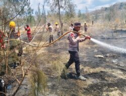 Karhutla Melanda Sejumlah Wilayah Sulteng, Satbrimob Perkuat Pemadaman Titik Api