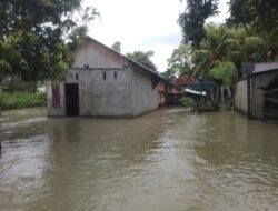 Banjir Rendam 14 Rumah Warga di Desa Sendana Parigi Moutong