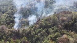 Kebakaran Lahan Seluas Satu Hektare Terjadi di Desa Aedan Raya Parigi Moutong