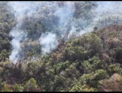 Kebakaran Lahan Seluas Satu Hektare Terjadi di Desa Aedan Raya Parigi Moutong